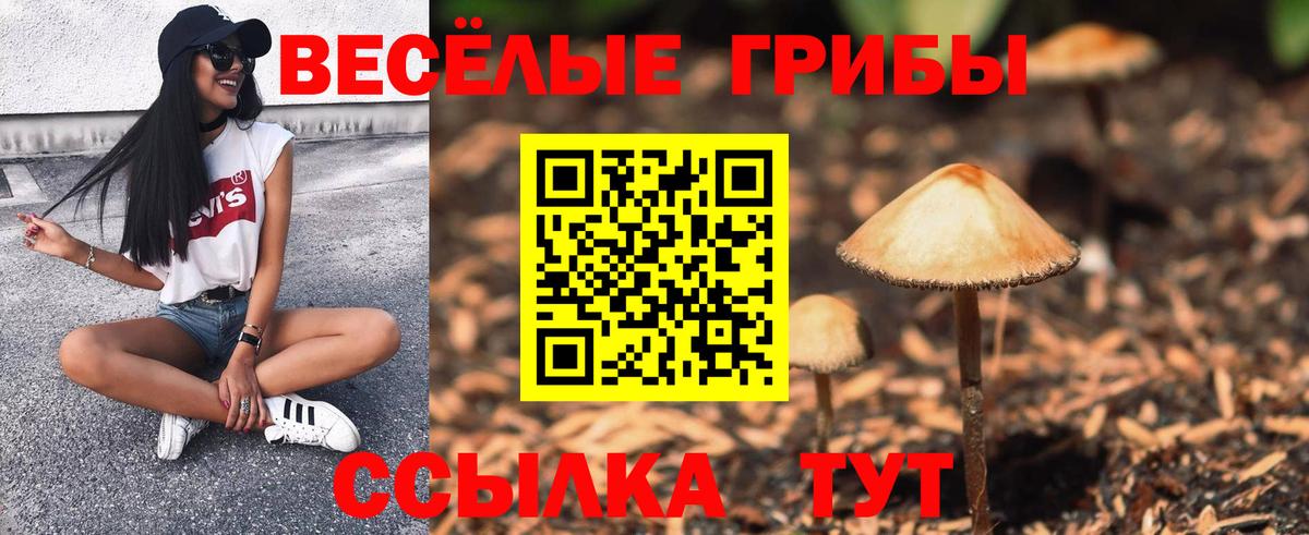 Псилоцибиновые грибы мицелий  Вход с VPN  закладка  Балабаново 