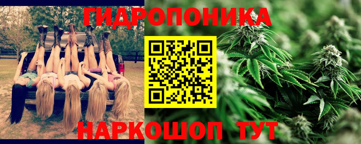 Шишки марихуана LSD WEED  Бошки марихуана планчик  Балабаново  Бошки Шишки THC 21%  Вход с VPN  Бошки марихуана план 